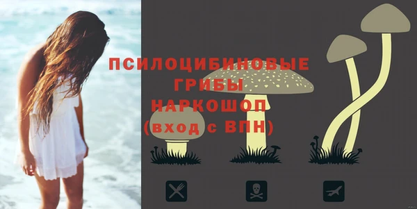 прущий лед Нея