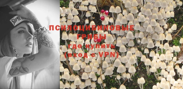 прущий лед Нея
