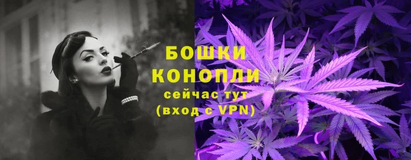 прущий лед Нея