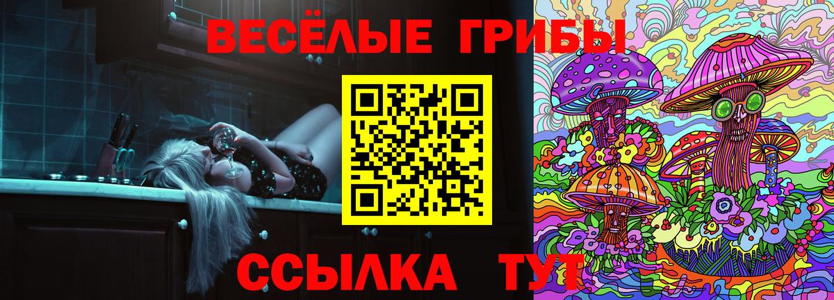 Псилоцибиновые грибы прущие грибы Качканар